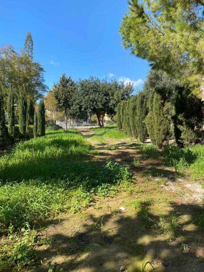 Appartement Limnaria Gardens K203 In