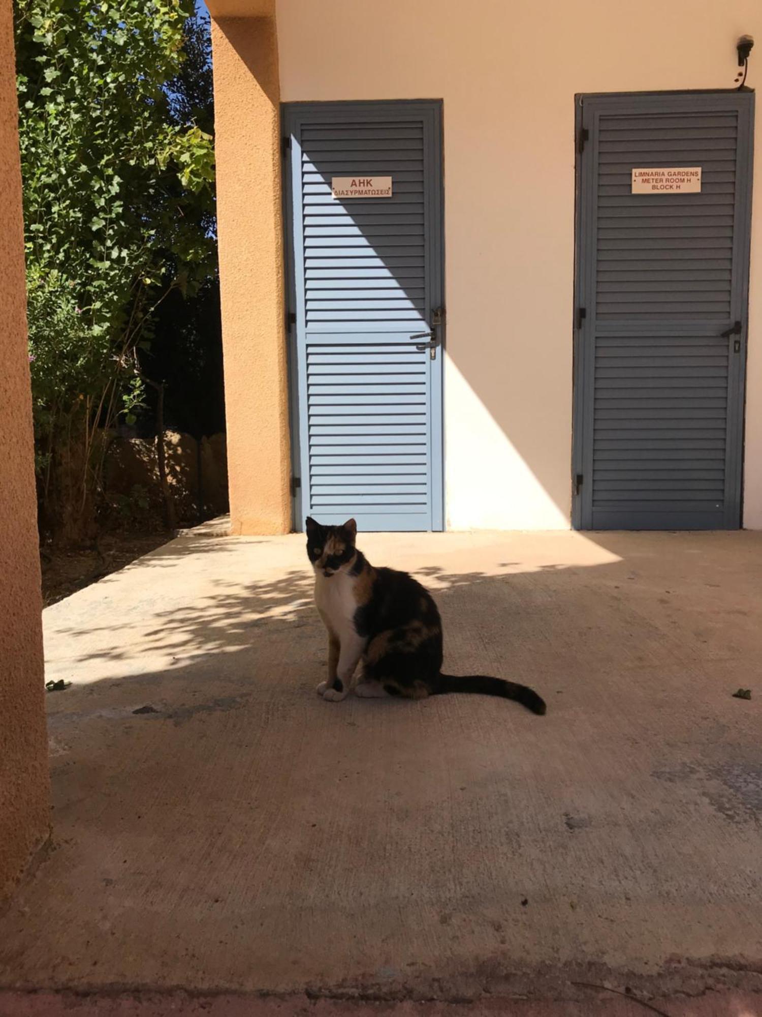 Limnaria Gardens K203 In Appartement Paphos